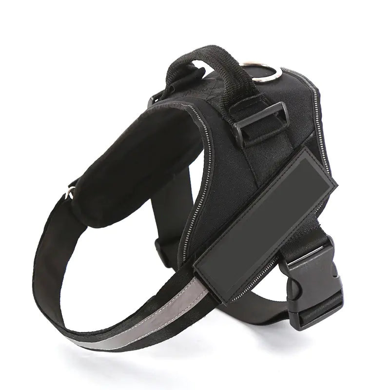 Reflective harness