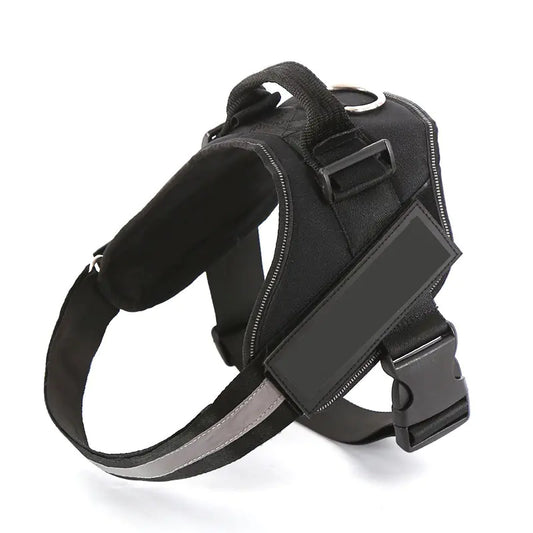 Reflective harness